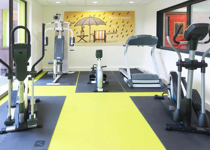 호텔 Ibis Styles 플레르